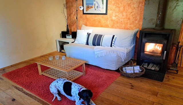 Apartment in Alsace with Nature Retreat