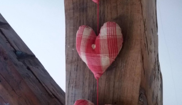 Apartment in Alsatian house, south Strasbourg