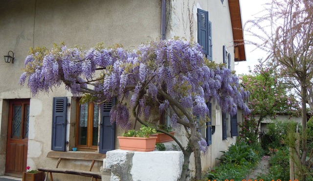 Apartment in an old farmhouse