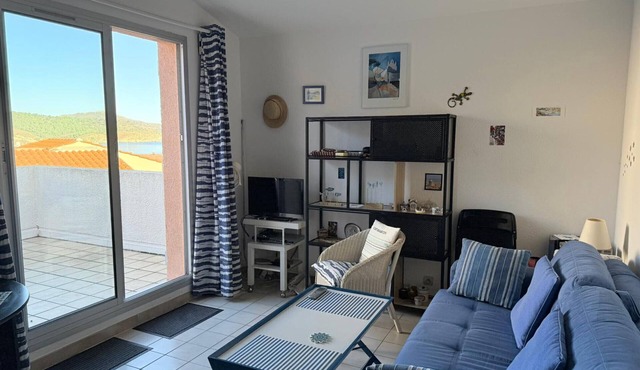 Apartment in Banyuls-sur-Mer, terrace, parking, air conditioning, sea view