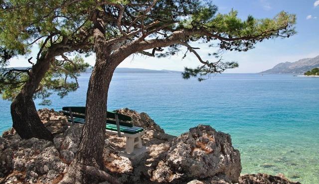 Apartment in Brela with Seaview, Terrace, Air condition, WIFI (3524-2)