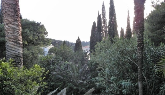 Apartment in Cavtat with Seaview, Balcony, Air condition, WIFI (3566-1)