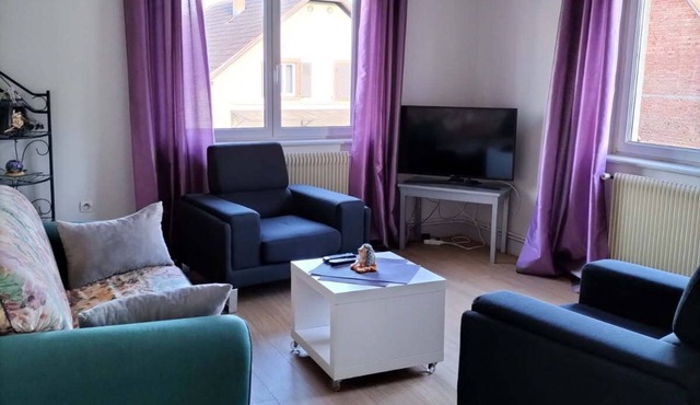 Apartment in central Alsace, 30 minutes from Europa-park