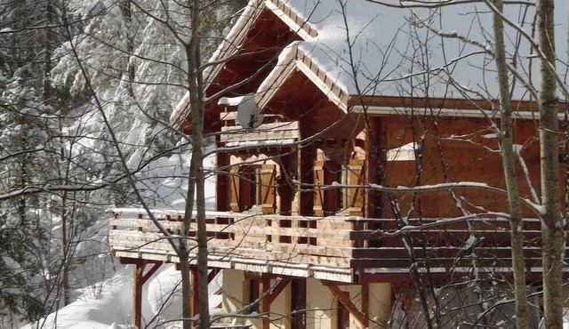 Apartment in Chalet Col de la Faucille