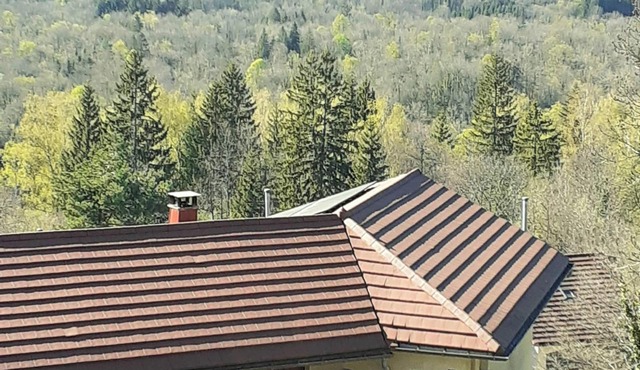 Apartment in chalet house Haut Jura