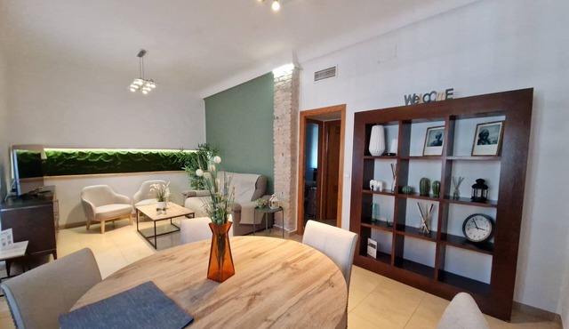 APARTMENT IN CORDOBA ROMAN BRIDGE