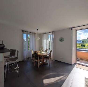 Apartment in Féchy