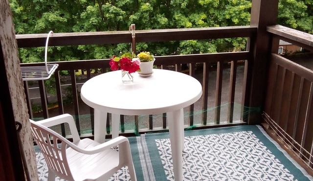 Apartment in the mountains vacations, spa treatments, balneotherapy