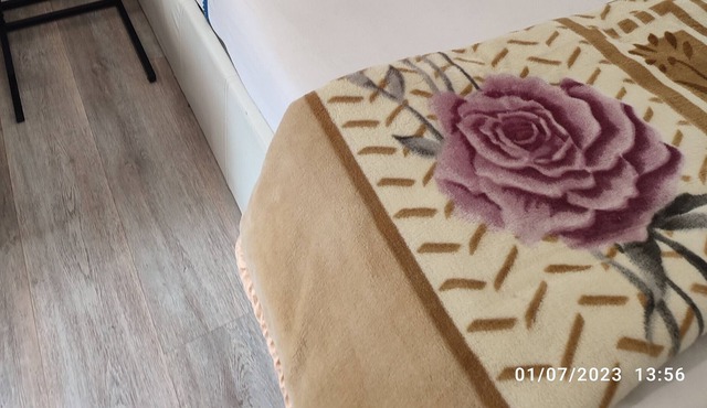 Apartment In A Hotel 'Kate French Typical Studio' with Wi-Fi