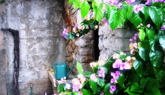 Apartment in garden 400m from the sea
