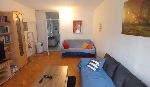 Apartment in green part of Zagreb family and pets friendly