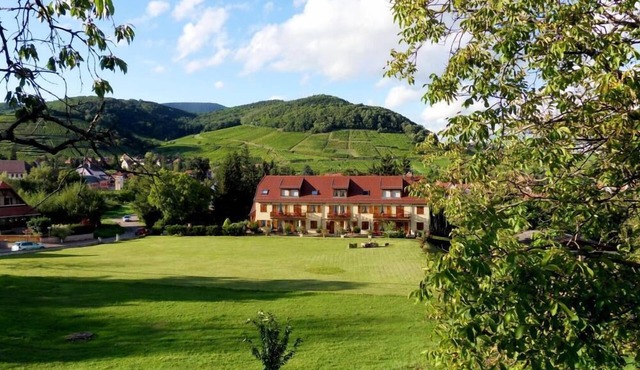 Apartment in idyllic setting overlooking vineyards