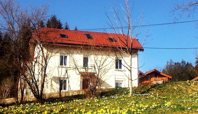 Apartment in independent house, quiet, Gérardmer