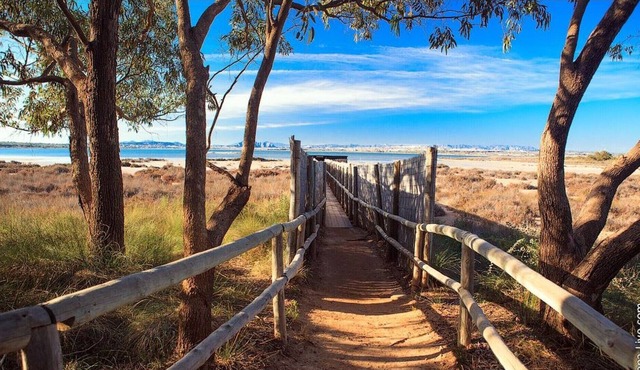 Apartment in La Mata, balcony Lake view, 200m from the beach