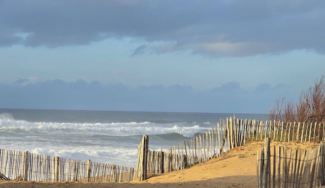 Apartment in Landes for 6/7 persons, pet friendly