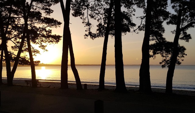 Apartment in luxury residence with pool facing the sea