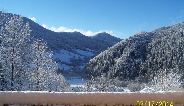 Apartment in mountain chalet overlooking the valley and the ski slopes