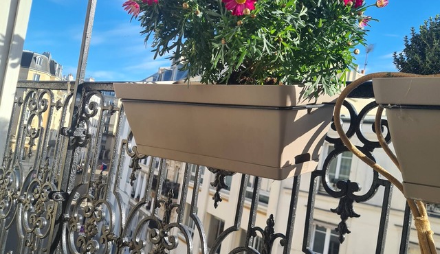 Apartment in Montmartre