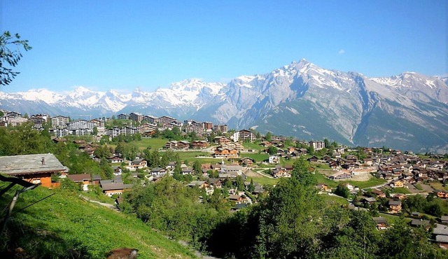 Apartment in Nendaz with Ski-In/Ski-Out Access