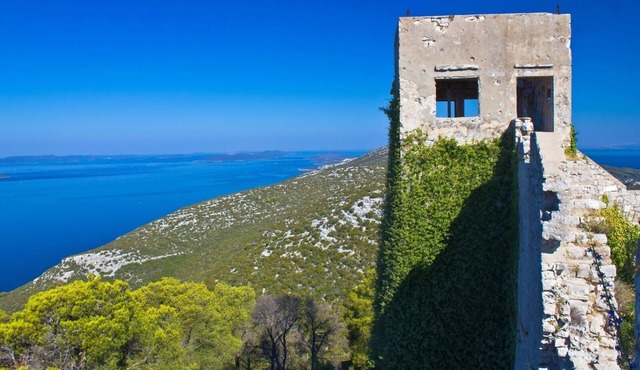 Apartment in Poljana with Seaview, Terrace, Air condition, WIFI (3617-2)
