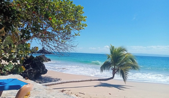 Apartment in Private and Prestige residence .Samana Bay. Incredible bay view