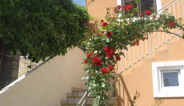 Apartment in Prvić Luka with Seaview, Terrace, Air condition, WIFI (3347-1)