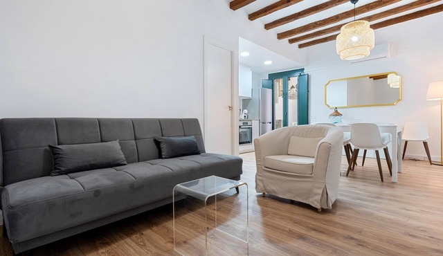 Apartment in TGN historic center only 10min beach