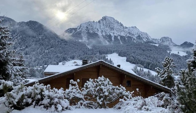 Apartment in the best location of Rougemont,Gstaad
