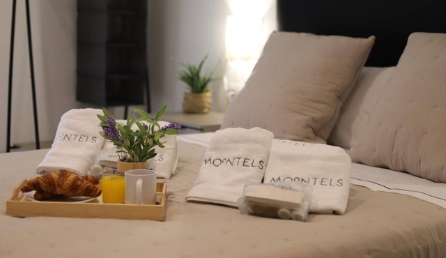 APARTMENT IN THE CENTER OF VALENCIA