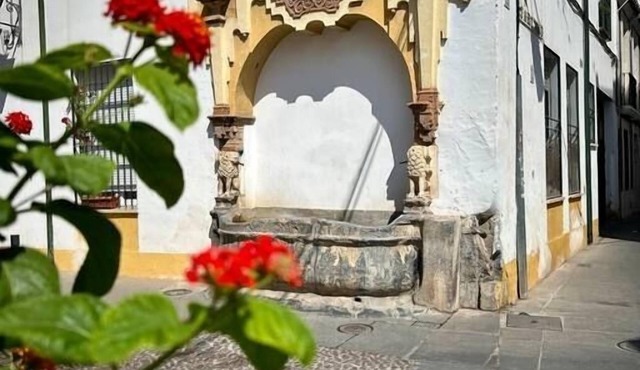 Apartment in the Center of Córdoba by beBalmy