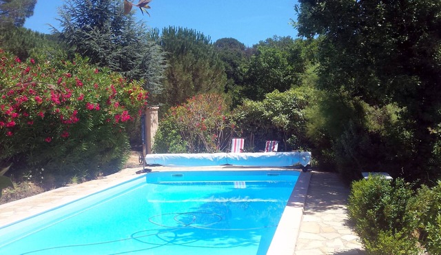 Apartment in the heart of nature - heated swimming pool