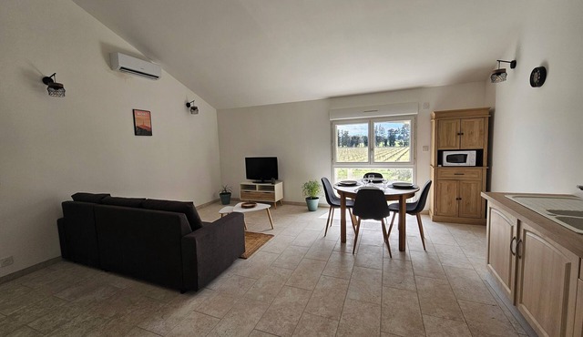 Apartment in the heart of the vineyards