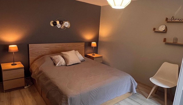 Apartment in the heart of the High Vosges!