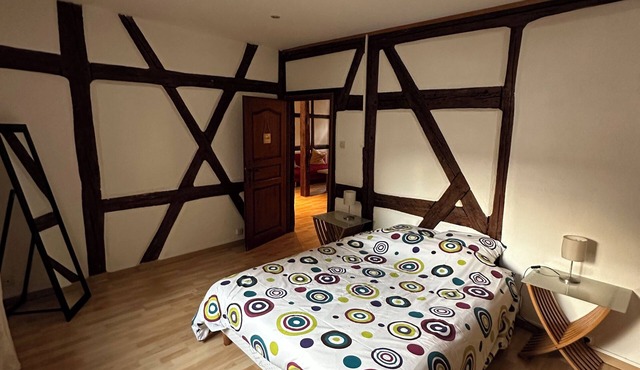 Apartment in the heart of Alsace's vineyards