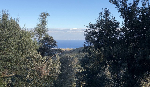 Apartment in the heart of nature with breathtaking views