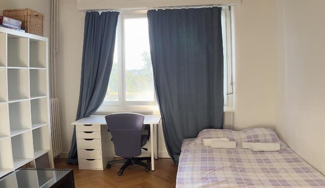 Apartment in the heart of Geneva