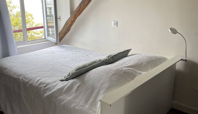 Apartment in the heart of Paris 8e