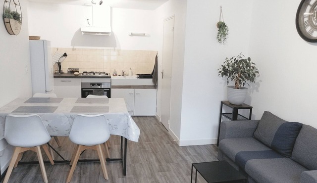 Apartment in the historic center - Montsalvy