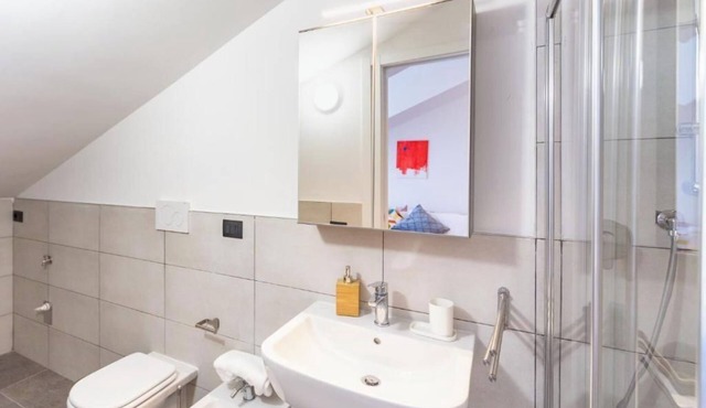Apartment in the San Siro area
