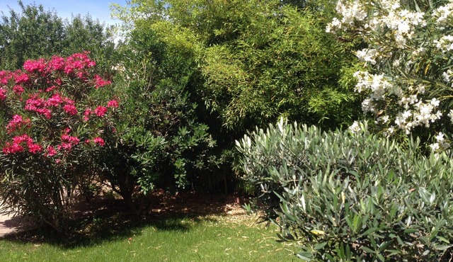 Apartment in very quiet villa in the heart of the village