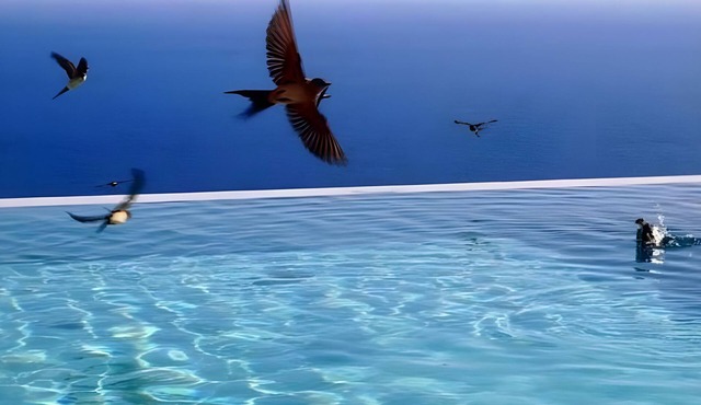 Apartment 'Kaladi Rock' with Sea View, Shared Pool and Wi-Fi