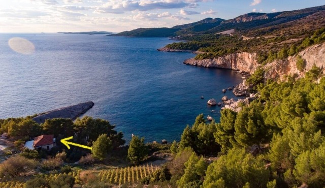 Apartment Kati - pure nature & serenity: - Cove Zarace (Milna), Island Hvar, Croatia