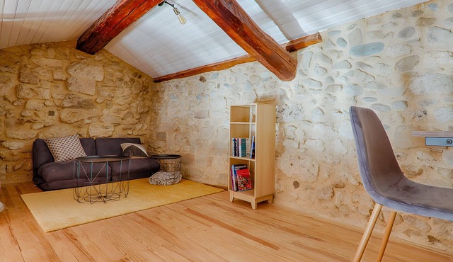 Apartment 'L'escarpin - Billiards - Historic' with Wi-Fi and Air Conditioning