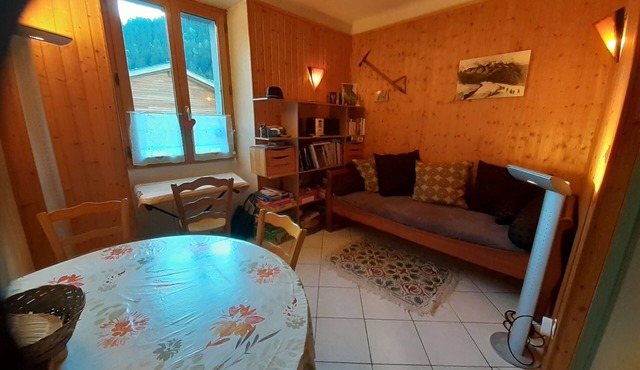 Apartment 'La Mer De Glace' with Mountain View and Wi-Fi