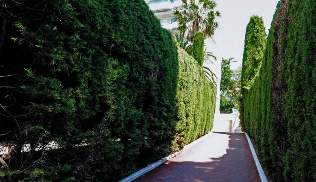 Apartment L'Oasis by Interhome