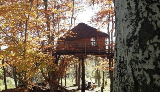 Apartment 'La Cabane Des Fayards' with Mountain View, Private Terrace and Shared Garden