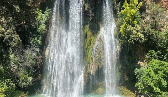Apartment "La dolce Vita