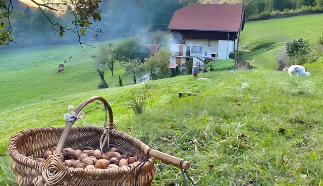 Apartment 'La Ferme Du Mont Charvin' with Mountain View, Private Terrace and Balcony