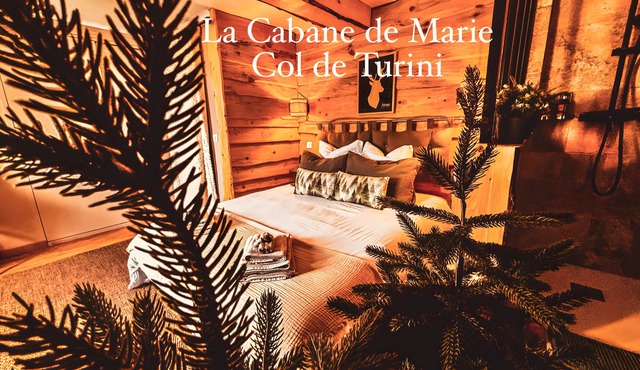 Apartment 'La Cabane De Marie' with Mountain Views