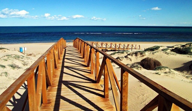 Apartment La Mata Costa Blanca